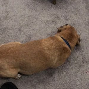 Meet your Posher, Serina